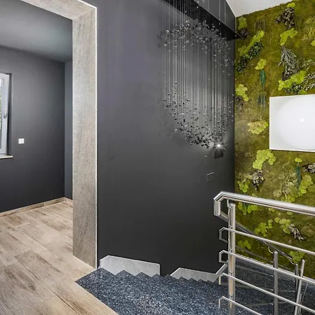 Wellness Biocrystal Bakarac
